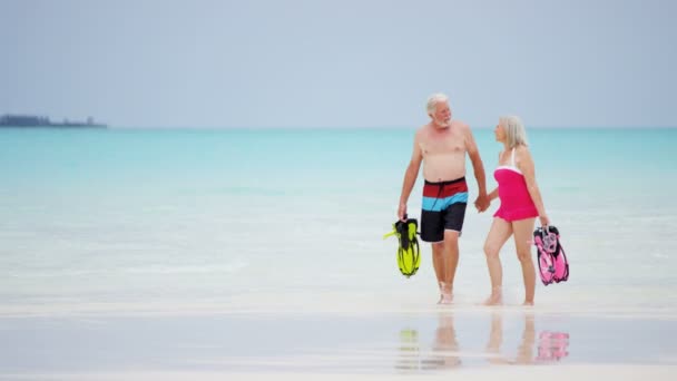 Coppia anziana con attrezzatura da snorkeling sulla spiaggia — Video Stock