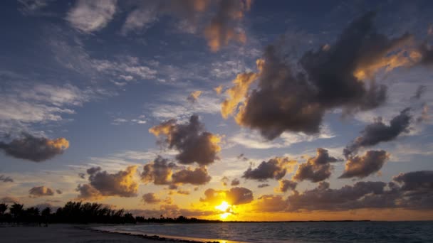 Océan vagues lavage plage de sable au coucher du soleil — Video