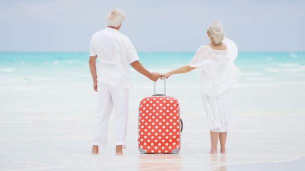 Senior couple enjoying vacation on beach — Stock Video