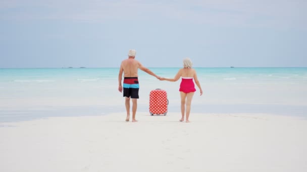 Pareja de ancianos disfrutando de vacaciones en la playa — Vídeos de Stock