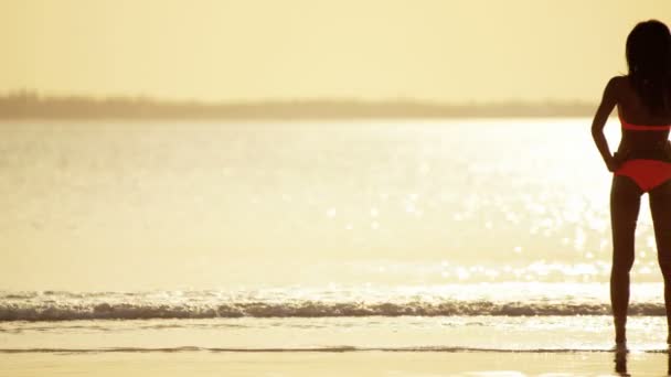 Multi-ethnische Freundinnen haben Spaß am Strand — Stockvideo