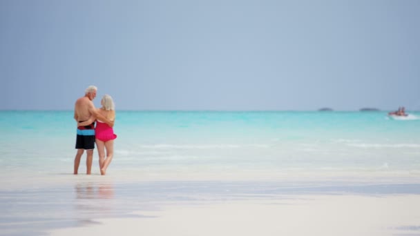 Pareja de ancianos disfrutando de vacaciones en la playa — Vídeo de stock