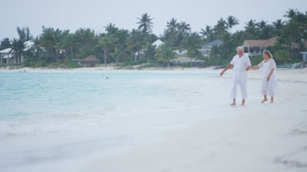 Couple de personnes âgées profitant de vacances sur la plage — Video