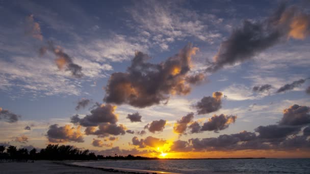 Tropischer Sandstrand bei Sonnenuntergang — Stockvideo