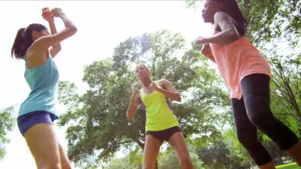 Мульти этнических девушек, наслаждающихся фитнесом в парке — стоковое видео