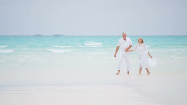 Pareja de ancianos disfrutando de vacaciones en la playa — Vídeo de stock