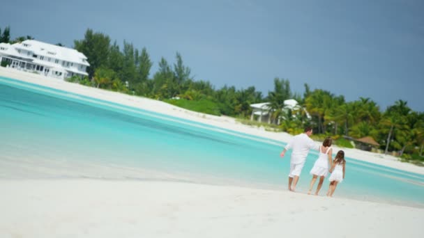 Bir plaj tatil zevk kızı ile beyaz veliler — Stok video