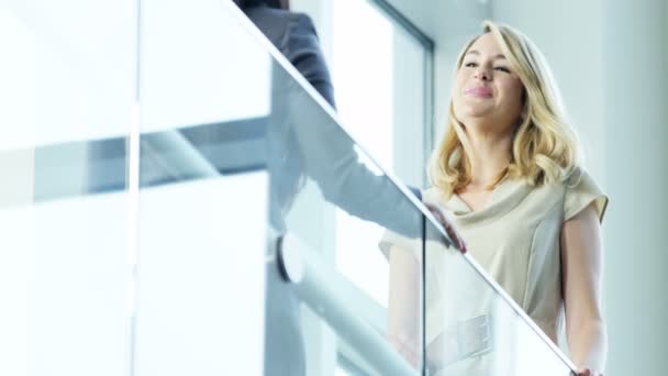 Mujeres de negocios discutiendo algo en el edificio de oficinas — Vídeos de Stock