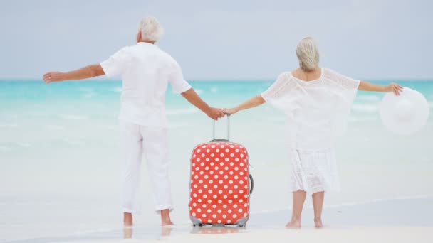 해변에서 휴가 즐기는 노인 부부 — 비디오