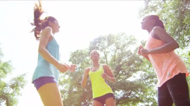 Multi meninas étnicas desfrutando de fitness no parque — Vídeo de Stock