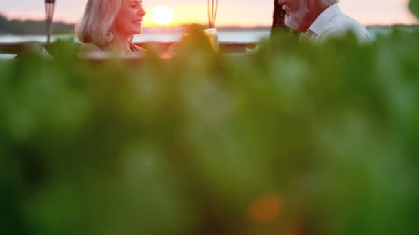 Pareja mayor teniendo una cena romántica — Vídeos de Stock