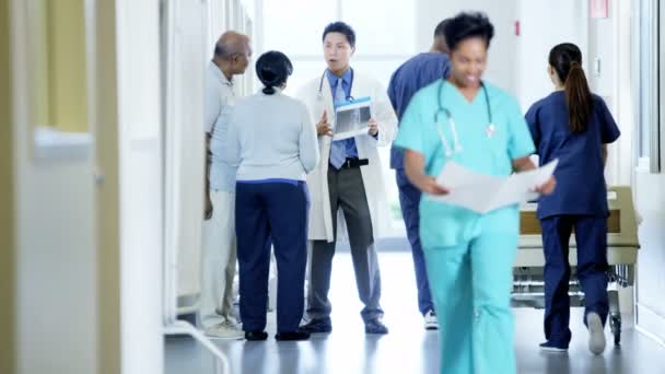 Medical staff working in medical centre — Stock Video