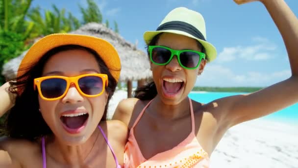 Multi meninas étnicas se divertindo na praia — Vídeo de Stock