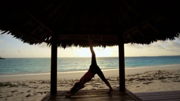 Ung flicka utövar yoga på stranden — Stockvideo