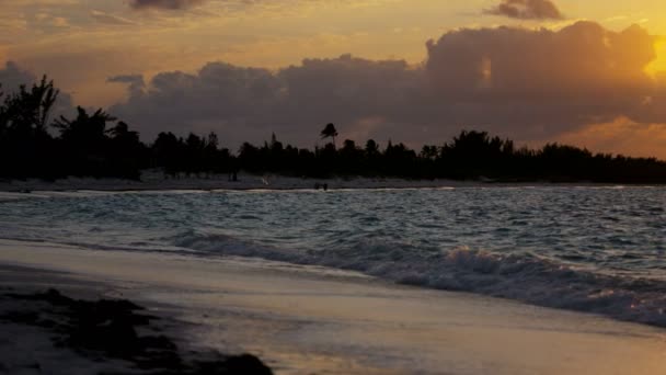 Playa tropical de arena al atardecer — Vídeos de Stock