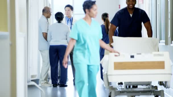 Personnel médical travaillant dans un centre médical — Video