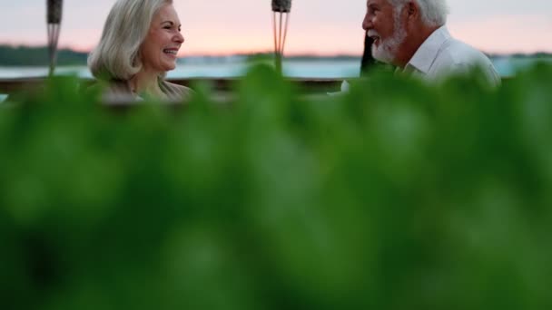 Senior couple having romantic dinner — Stock Video