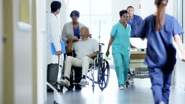 Man on wheelchair with wife consults with doctor — Αρχείο Βίντεο