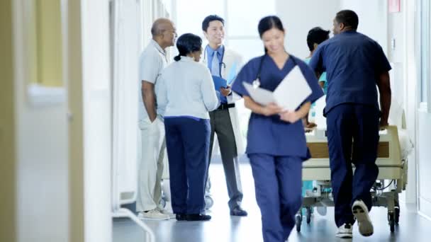 Doctor consults with couple in medical centre — Stock Video