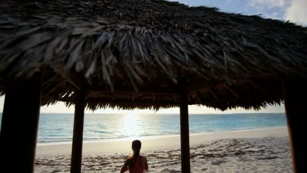 Ung flicka utövar yoga på stranden — Stockvideo