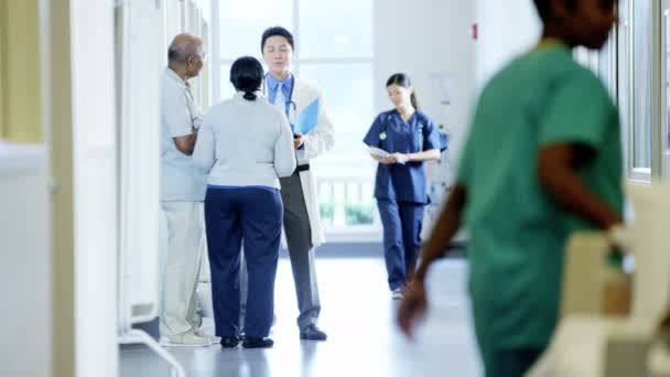 Médecin consulte un couple dans un centre médical — Video