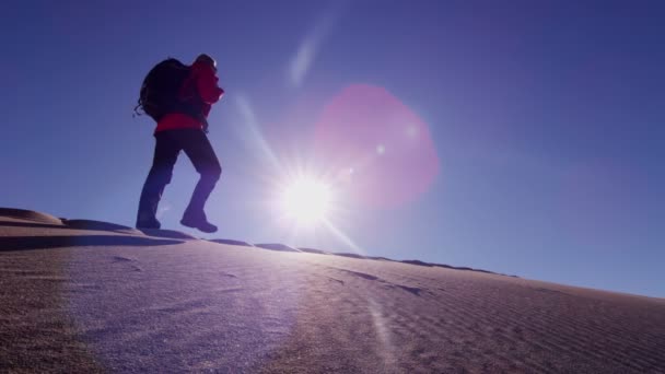 Vrouw explorer wandelen door de duinen — Stockvideo