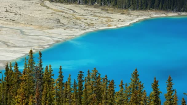 冰川的蓝色湖泊水 — 图库视频影像