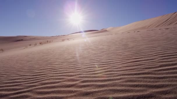 Lopen door zand woestijn — Stockvideo