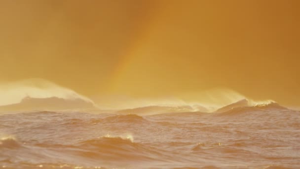 Por do sol sobre as ondas do oceano Pacífico no Havaí — Vídeo de Stock