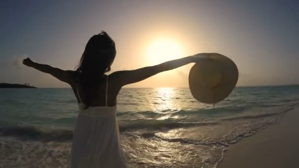 Menina afro-americana na praia tropical — Vídeo de Stock