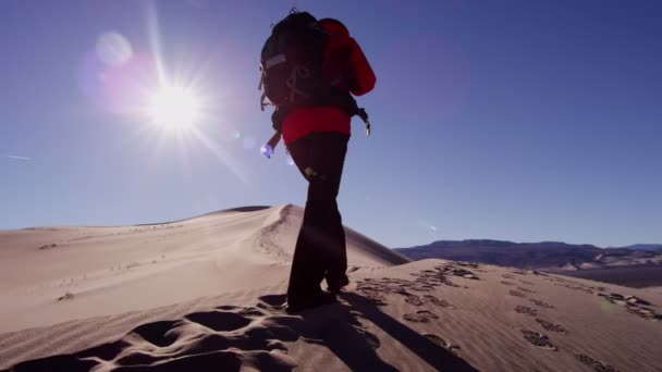 Forscherin wandert durch Sanddünen — Stockvideo