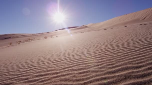 Lopen door zand woestijn — Stockvideo