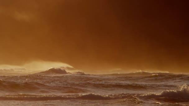 Puesta de sol sobre las olas del océano Pacífico en Hawaii — Vídeo de stock