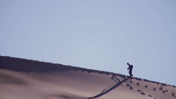 Vrouw explorer wandelen door de duinen — Stockvideo