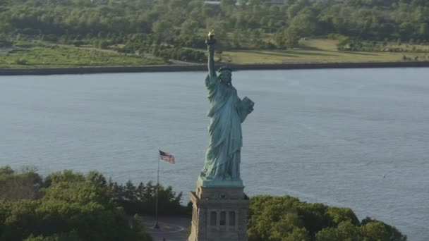 Estátua da liberdade em Nova Iorque — Vídeo de Stock