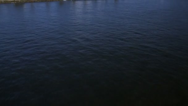 新、 老湾桥旧金山 — 图库视频影像