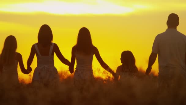 Padres con hijas en el prado al atardecer — Vídeo de stock