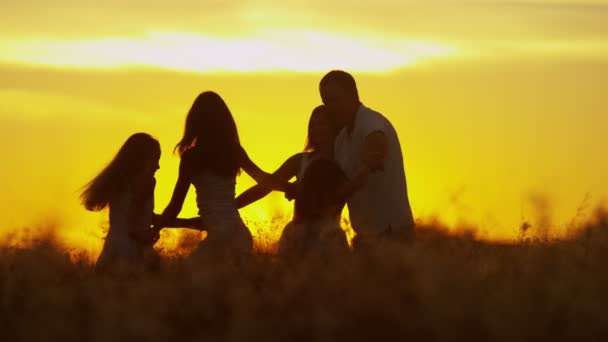 Pais com filhas no prado ao pôr do sol — Vídeo de Stock