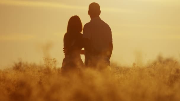 Loving couple walking on meadow at sunset — Stock Video