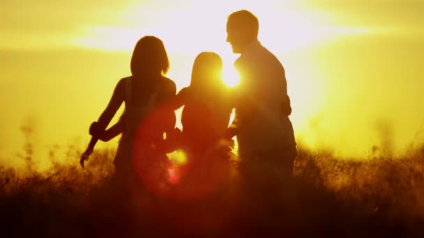 Parents with daughters on meadow at sunset — Stock Video