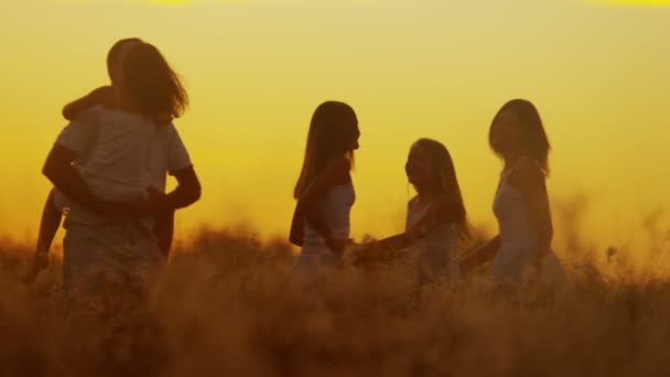 Padres con hijas en el prado al atardecer — Vídeos de Stock