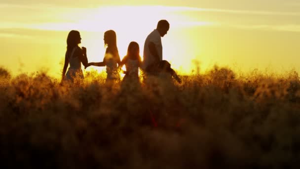 Pais com filhas no prado ao pôr do sol — Vídeo de Stock