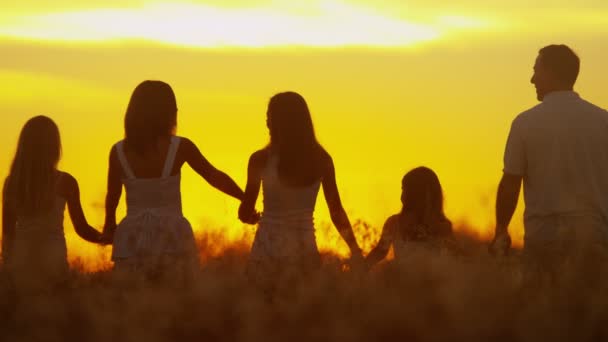 Родители с дочерьми на лугу на закате — стоковое видео