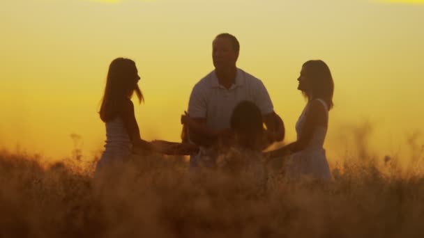 Pais com filhas no prado ao pôr do sol — Vídeo de Stock