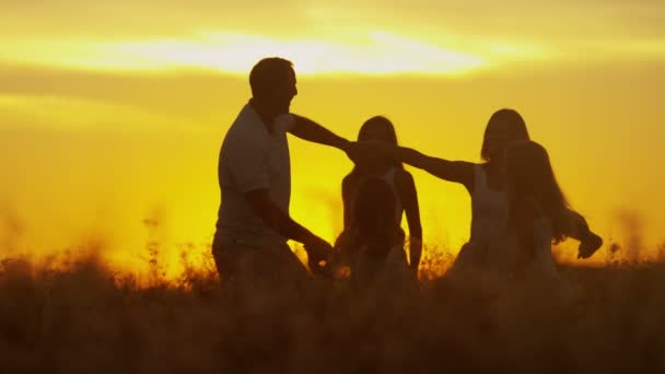 父母带着女儿在草甸在日落 — 图库视频影像