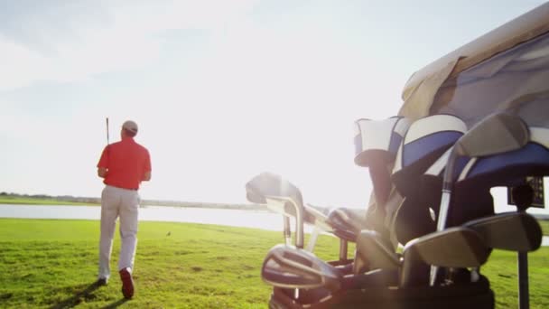 Jogador de golfe masculino profissional e carrinho de golfe com equipamento — Vídeo de Stock