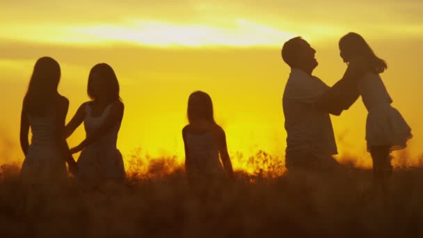 父母带着女儿在草甸在日落 — 图库视频影像