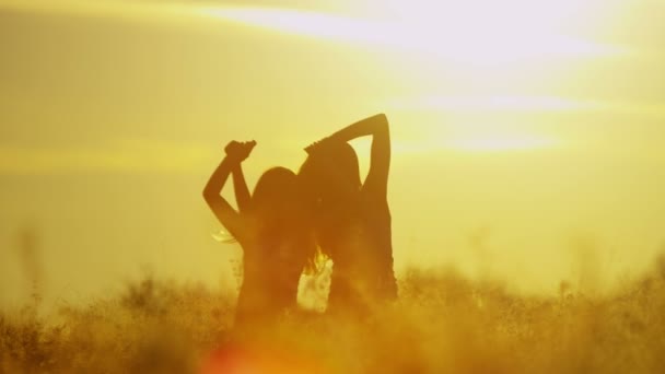 Girls having fun outdoors in field — Stock Video