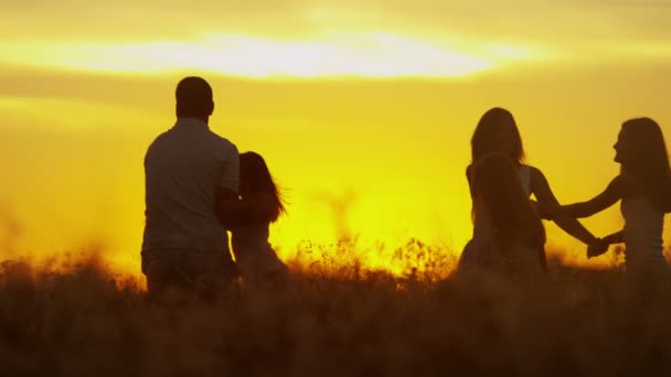 Parents avec leurs filles dans la prairie au coucher du soleil — Video
