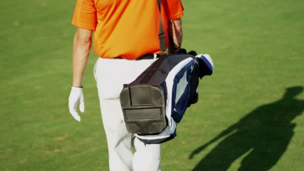 Jugador de golf caminando con equipo de golf — Vídeos de Stock